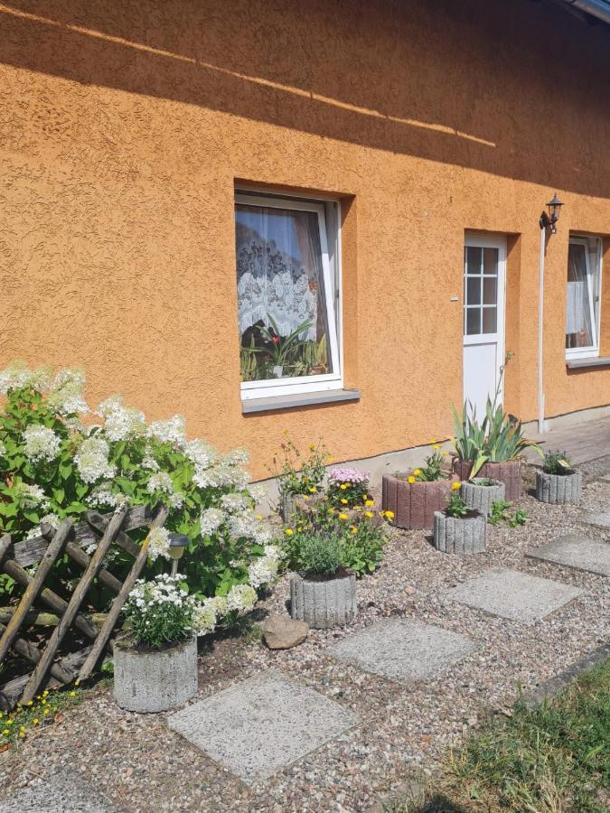 Ferienwohnung Warnitz Blankenburg  Exterior photo